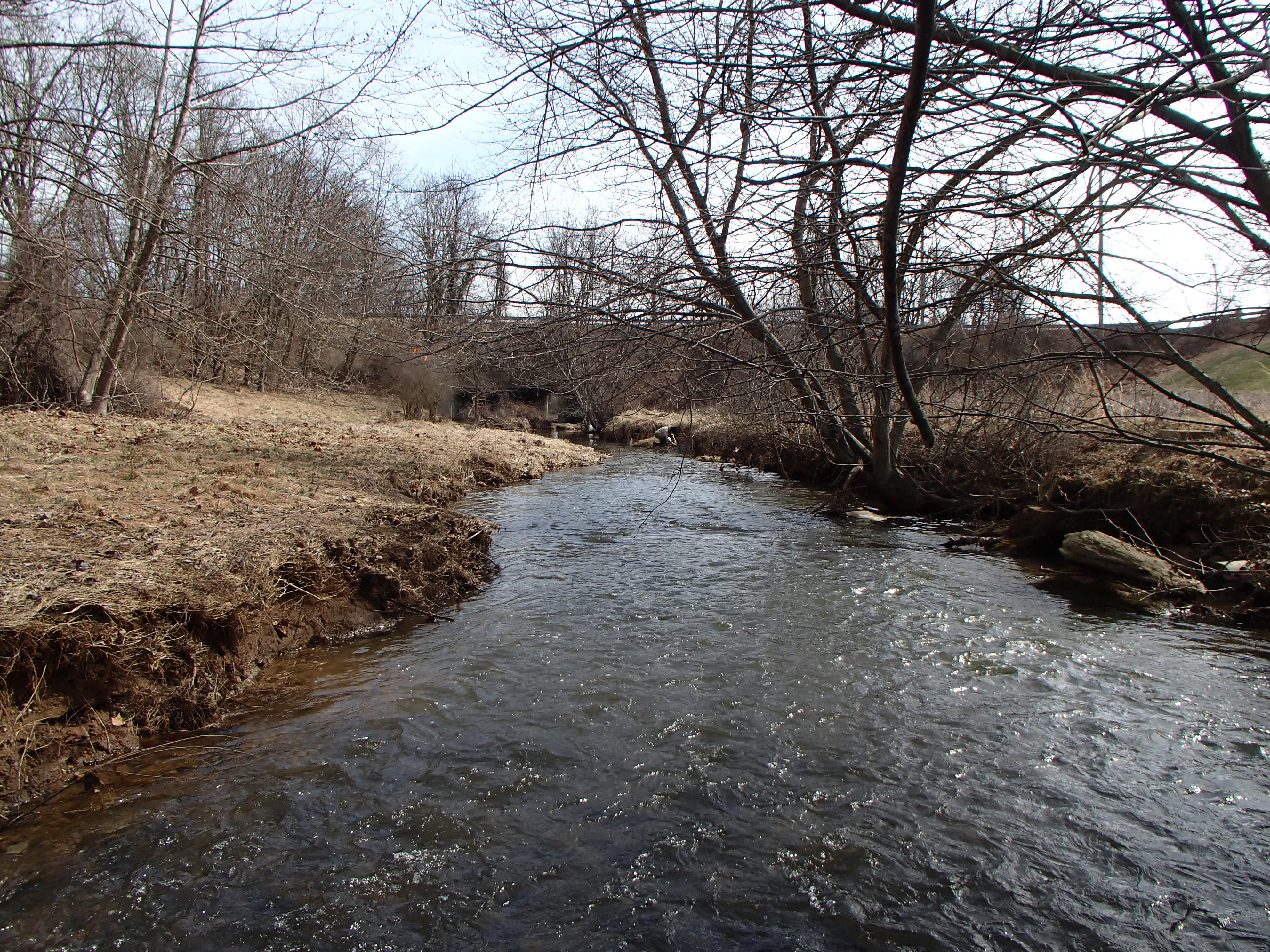 Field photo showing stream conditions at site SBPA-204-X-2016_midpoint looking downstream